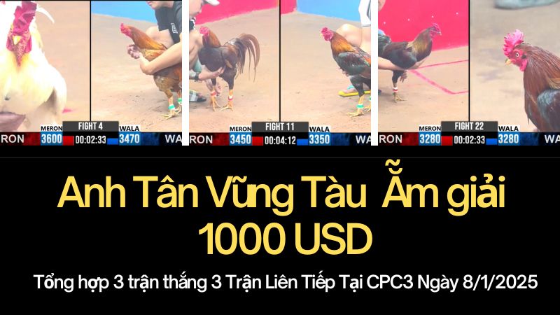 anh tan vung tau 1000 usd