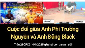 tran-21-14-1-thomo-cpc3-phi truong nguyen dang black