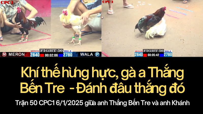 tran-50-6-1-thomo-cpc1-anh-thang-ben-tre