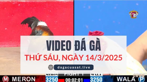 video-da-ga-14-3-2025