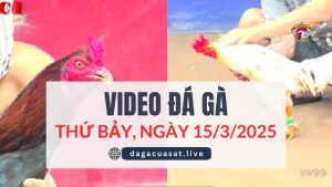 video-da-ga-15-3-2025