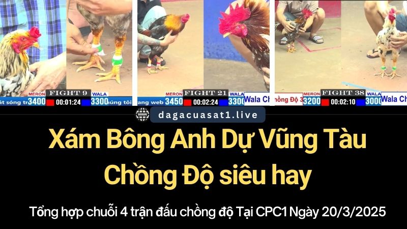 xam bong anh du VT chong do