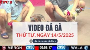 video-da-ga-14-5-2025