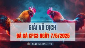 giai ga cpc3 7-5-2025